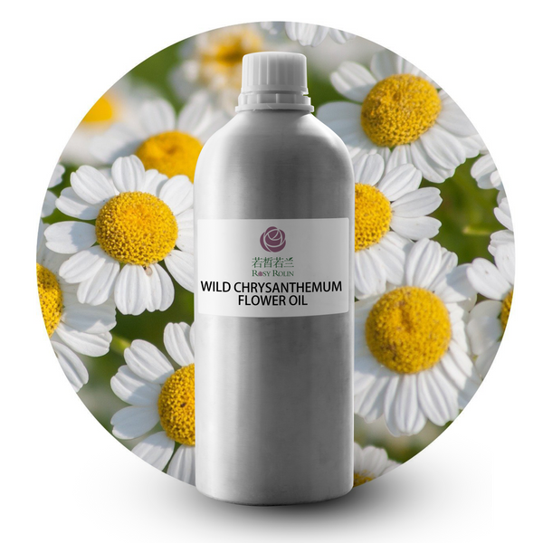 Wild chrysanthemum flower Essential Oil