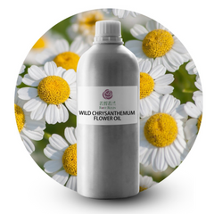 Wild chrysanthemum flower Essential Oil